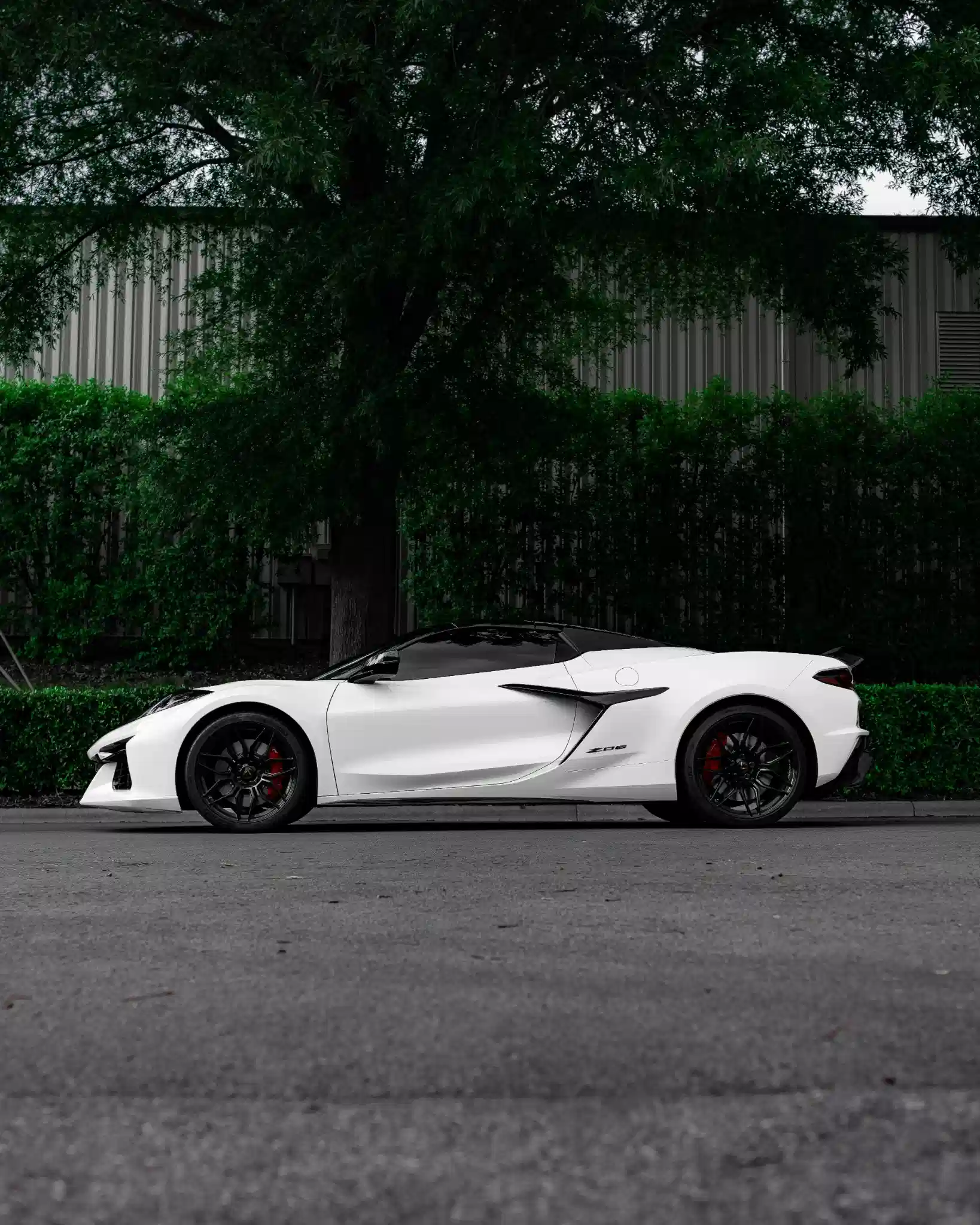 White C8 Z06-10